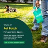 Sunday Pet Patch - Lawn Spots Repair - Repair &