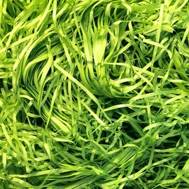 Amsthow Filler Paper Shred Gift Wrap Basket Grass 1/2 LB Green Cut Basket Packing Filling Raffia Paper for Gift Basket Box Birthday Party Decoration Wedding (Green)