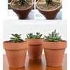 OLEEP Clay Pots - 10 Pack (5.5 inch) Large Terra