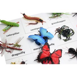 Curious Minds Busy Bags Montessori Insect Animal Match Cards and Figurines. Nomenclature Science Work