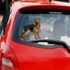German Shepherd 3D Sticker Waterproof Reflective for Car, Laptop, Fridge,