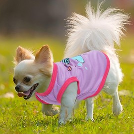4 Pieces Dog Clothes for Small Dogs Girl Boy Summer Puppy Clothes for Chihuahua Yorkie Soft Cute Pattern Dog Shirt Spring Pet Cat Clothing Pink Rose Red Green XXS~M (Pink,Rose,Black,Grey, Medium)