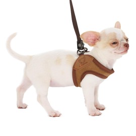 LOPHIPETS Lightweight Dog Harness with Leash Set for Small Dogs Chihuahua Yorkie Puppy Cat-Coffee/XS