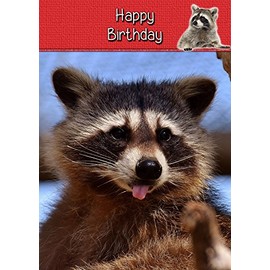 Raccoon Birthday Card