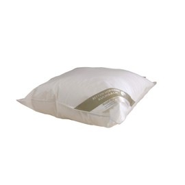 Betten Hofmann Franken Feather Pillow 50 x 50 cm 15% Down, 500 g Filling Weight, Washable, Natural Product
