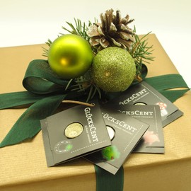 Gedeko Set of 4 Lucky Charm Lucky Scent Gold Plated Lucky Coin for Birthday, Christmas, New Year's Eve, Lucky Pig Lucky Mushroom Clover Horseshoe