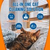 Cat Stain and Odor Remover | Enzyme Urine Odor Neutralizer