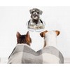 Winston & Bear Curious Schnauzer Dog Wall Decals - 2