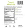 Canola Lecithin Fluid (550 ml), IVOVITAL®, Premium Natural Alternative to