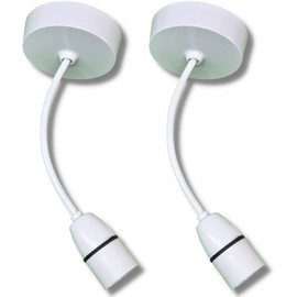 Pack of 2 - Vintage lamp - Rose Light - Lamp Base - Plastic Lamp Hanging Light for Living Room, Dinning Room and Bedroom Ceiling Lights Home Décor- White