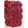 hukusan Flower Pack Mini Rose Red Fuk – 1026