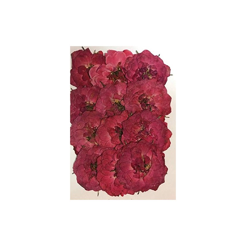 hukusan Flower Pack Mini Rose Red Fuk – 1026