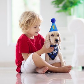 Yardwe Dog Birthday Party Supplies, Dog Birthday Bandana Set, Includes Hat, Bandana, Numbers