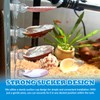 KFPSHLQE 7 Pack Seashells Betta Hammock,Betta Bed Resting Spot,Fish Tank