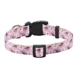 Mihqy Dog Collar for Small Dogs, Cute Small Medium Large Dog Pet Collar Cat Collar, with Floral Patterns, Soft Adjustable for Boy Girl Female Male Puppy Dog Collar(Pink White Flower,XS)