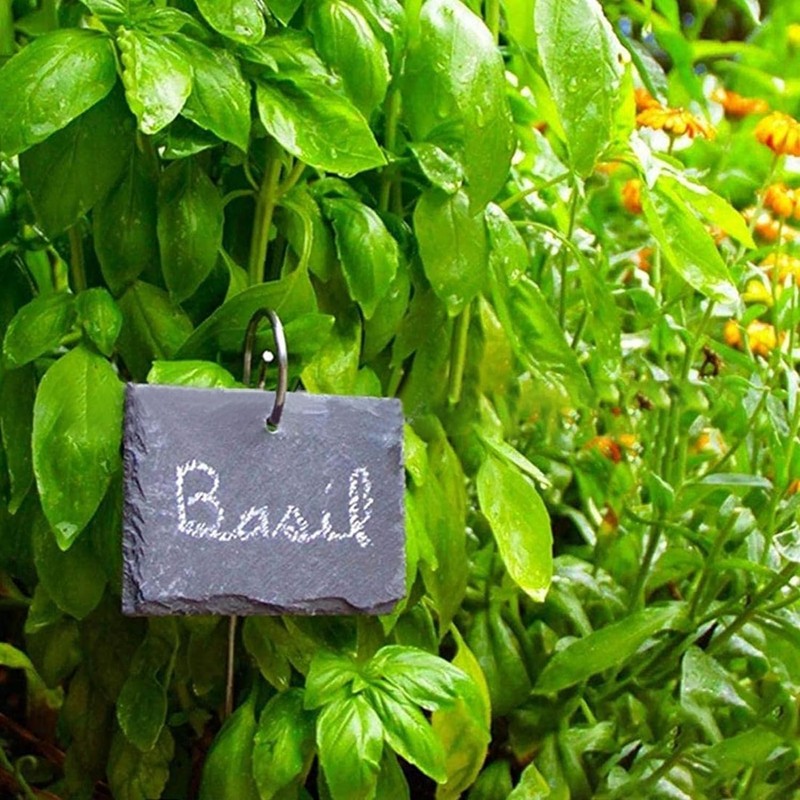 20Pcs Silver Plant Label Hooks, Garden Markers Stake, Plant Sign