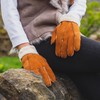 Nordvek Womens Sheepskin Gloves - Fold Back Cuff - Suede