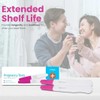 Pregnancy Test Kit, 2 Pack, Over 99% Accurate, Quick Results