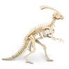 Quay Parasaurolophus Holzbausatz FSC