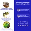 HealthyAnimals4Ever Reptile Nutrient Replenish - Comprehensive Mineral & Vitamin Support