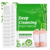 Parches Detox Pies + Limpieza Natural Noche | Kit 60