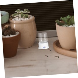 WOONEKY Ants Water Dispenser Ants Food Dispensing Box Ants Waterer for Ants Feeding Device