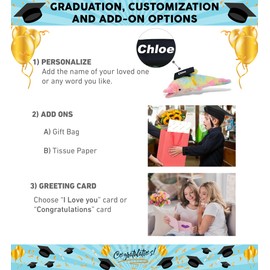 DolliBu Rainbow Dolphin Large Graduation Plush Toy Stuffed Animal - Graduation Gift Stuff Animal Plush Toys with Cap with Tassel Outfit - Cute Graduation Gifts with Personalization - 18 Inches