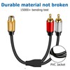 TEKERA RCA Y Cable Splitter, Gold-Plated Plug Subwoofer 1 Female