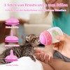 Pet Feeding Bottle, 3-Pack 60 ml Nursing Bottle, 3 Sizes