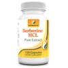 Berberine HCL 50,000 mg Pure Natural Extract - 500 mg