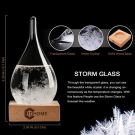 Christmas Gifts Storm Glass Weather Stations Water Drop Weather Predictor Creative Forecast Nordic Style Decorative Weather Glass Weather gifts for Men (S)