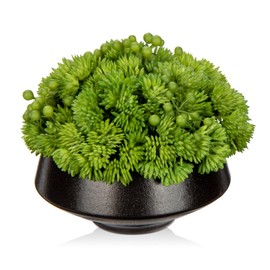 Briful Succulents Plants Artificial in Ceramic Pots Fake Succulent Arrangement with Black Bowl Planter Large Faux Succulent Plants for Home Bathroom Shelf Desk Table Indoor Decor