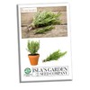 Rosemary Seeds for Planting, 100+ Heirloom Seeds Per Packet, (Isla's