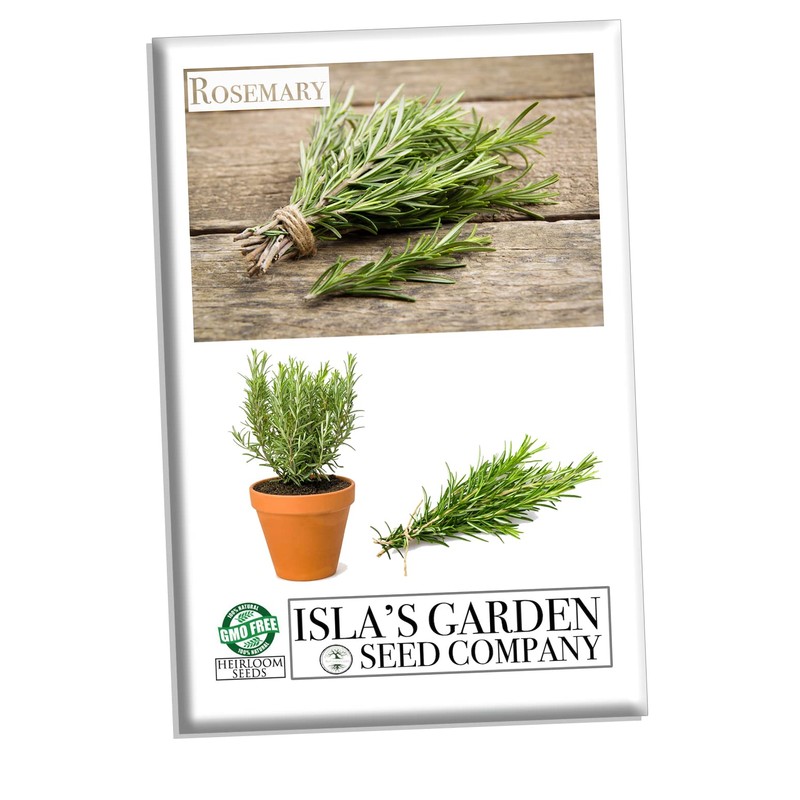 Rosemary Seeds for Planting, 100+ Heirloom Seeds Per Packet, (Isla's