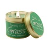 Lily Flame Cut Grass Tin, Green, l x 7.7cm w