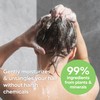 Nature Clean All-natural Sulfate-free Conditioner For Women & Men. 99.9%