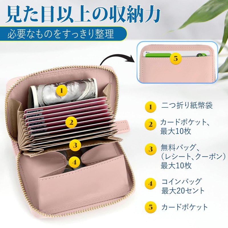 COCA-DG Mini Wallet, Stores Bills Without Folding Bills, Compact, Bifold