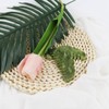 ZJIVQO 2pcs Massage Comb Jade Scalp Massage Comb Jade Gua