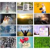 the lazy panda card company 80 Postive and Motivational Postcards