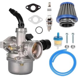 PZ19 Carburetor Kit - Engineered for TaoTao Baja Kazuma Loncin Sunl Peace Sports Kayo Fox SSR 6 Kandi 50 70 90 110 125cc 4 Wheeler ATV Quad Pit Dirt Bike Go Kart Cart Moped Parts (blue)