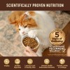 Wellness Core Grain Free Dry Cat Food Turkey Duck Recipe