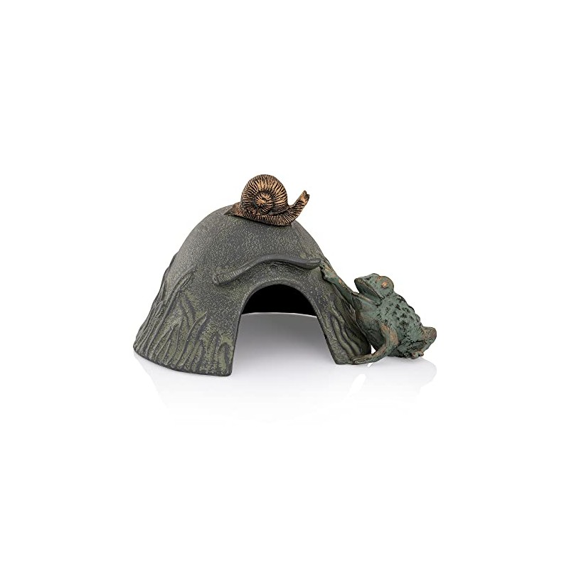 Toad House with Snail