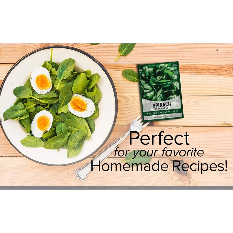 Gardeners Basics, Bloomsdale Spinach Seeds for Planting is A Great