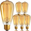 Newhouse Lighting ST64INC-6 ST64 Vintage Light Bulb 6-Pack Edison Bulbs-ST64