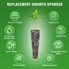 LotaByte 120 Pack Grow Sponges for hydroponics Compatible with AeroGarden,