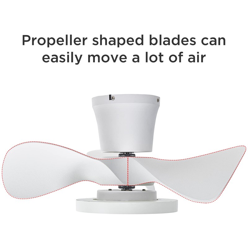 ocioc Quiet Ceiling Fan with LED Light 22 inch Large