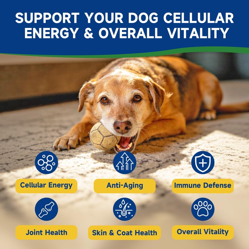 NAD Supplement for Dogs - NAD Soft Chews for Senior