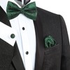 Alizeal Mens Gradient Paisley Bow Tie Pre Tied Pocket Square