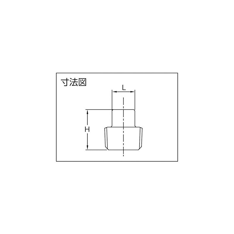 TRUSCO TP20A Threaded Pipe Fittings, SUS Square Plug, 20A