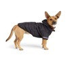 Reddy Superior Warmth Primaloft Dog Puffer, Medium